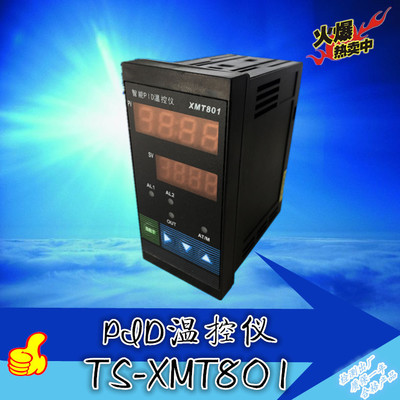 诚信商家 上海亭山温度控制仪 智能  高精度数字调节温控器