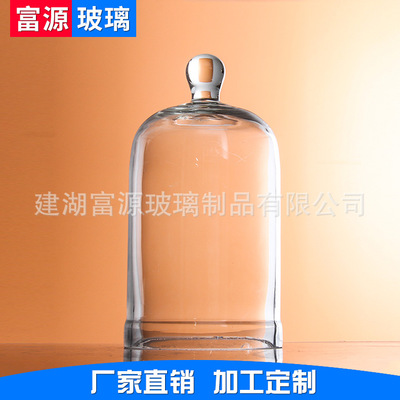 厂家直销圆结钟罩 定制加工具塞钟罩 抽滤装置玻璃钟罩图1