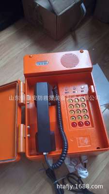 CPH951抗噪声扩音电话 全数字广播扩音话站规格 防爆电话