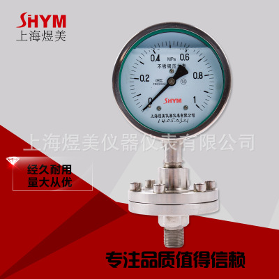 厂家直供 不锈钢耐震隔膜压力表 YTP-100BF-ML