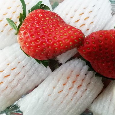 厂家直销珍珠棉定制包装 橘子草莓水果网套 防震包装泡沫网套6*4