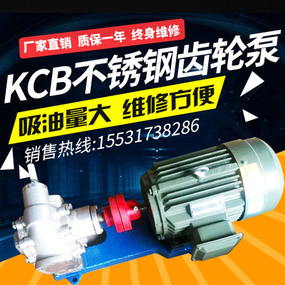 KCB200/300/483.3 不锈钢齿轮油泵 不锈钢泵 洗衣液洗洁精专用泵