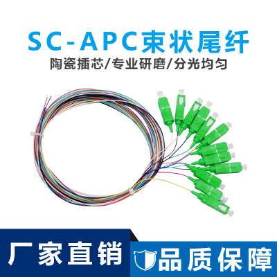 厂家直销 SC/APC-SM-0.9束状尾纤跳线光纤尾纤单模SC头广电级12芯