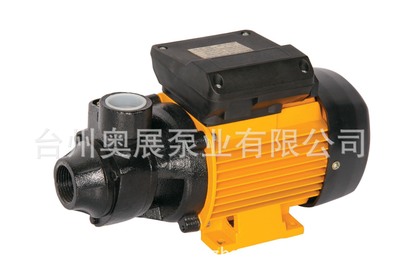 专业外贸旋涡水泵GPM60