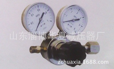 YQN-731全不锈钢耐腐蚀气体减压器