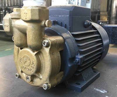 蒸汽发生器配件家用奥龙旋涡泵锅炉补水泵1.1KW高压泵多级泵