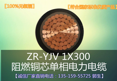 新益源电缆ZR-YJV-1X300mm单相.纯铜芯电力电缆 大功率用电 足米