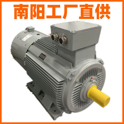 南阳防爆 工厂直供 Y3-355-2高压普通三相异步电动机
