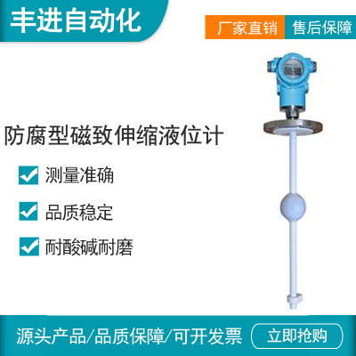 上海丰进厂家直销CZS防腐型磁致伸缩液位计投入式液位计