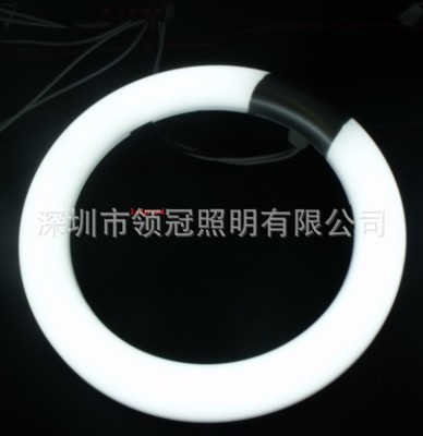 厂家热销225MM环形LED灯管、环形LED日光灯管、环形LED节能灯管
