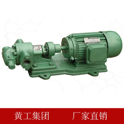 油泵-KCB不锈钢齿轮式输油泵/配件/泵头（厂家直销）黄工4