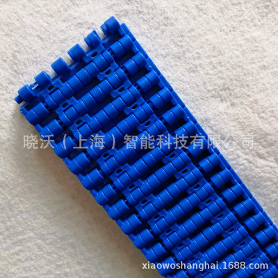 上海厂家直销定制12.7节距POM PP型号齐全塑料输送网带