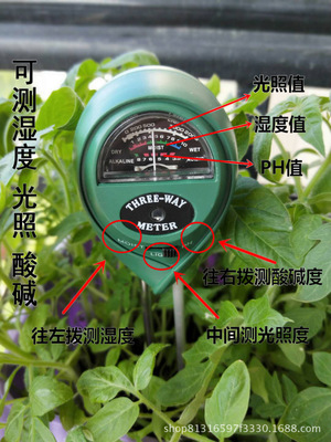 圆头三合一园艺检测仪ph计土壤湿度计光照度测试仪测量酸碱度ph值