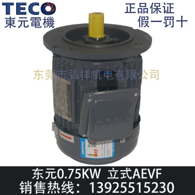 TECO东元电机0.75KW立式AEVF TVGH80M 东元750W制动刹车电机马达