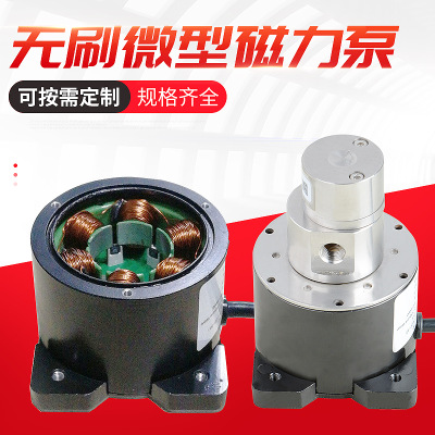 无刷微型泵电机 无刷直流电动机 磁力泵 可定制