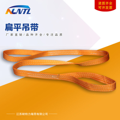 耐特力扁平吊装带双扣环形工业起重吊带行车吊带吊装绳吊装工具