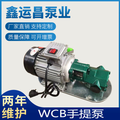 热销 WCB手提泵一寸口径 便携式微型齿轮泵 输送柴油泵 220V单项