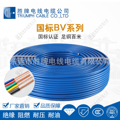 硬PVC电线 通电导线 裸铜线 胜牌供应BV4.0