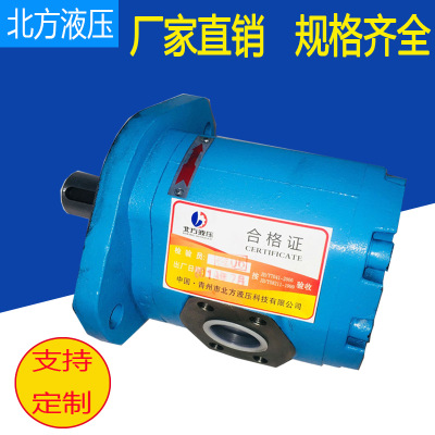 供应CBY2040-1TFR型转子泵液压齿轮油泵润滑泵电动油泵可批发定制
