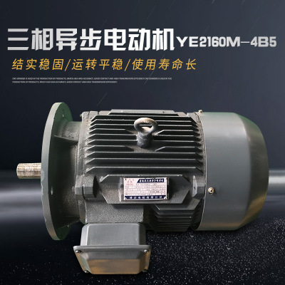 厂家直销 YE2160M-4B5三相异步电动机减速机 水泵 通用减速机设备
