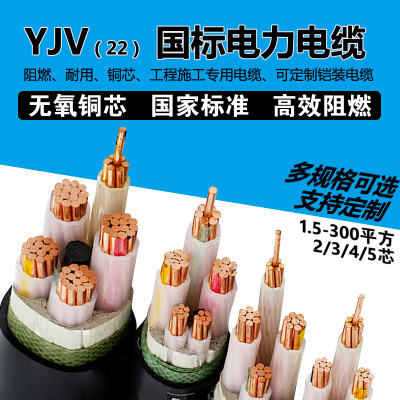 国标阻燃铜芯电缆 YJV4*25+1*16 电缆 铠装VV22 低压交联护套电缆