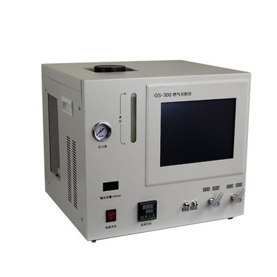 上海传昊 气相色谱仪 天然气热值分析仪 天然气热值在线检测