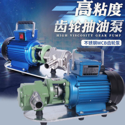 WCB-75高扬程大流量齿轮油泵 抽高粘度柴油煤油机油泵 便携防爆泵