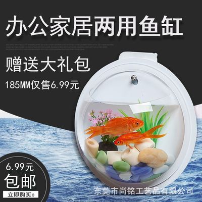 塑料玻璃透明防尘球罩  挂墙壁鱼缸 花盘装饰水族箱一件代发厂家