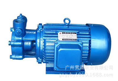 广东锅炉W型单级旋涡离心泵高压锅炉清水泵给水高扬程循环增压泵