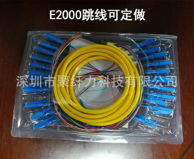 E2000/upc 单模12芯光纤跳线束装尾纤