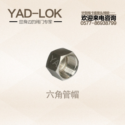 YADLOK亚登不锈钢锻钢圆头/六角头管帽 厂家直供