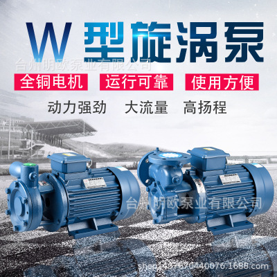 W型单级旋涡离心泵高压锅炉清水泵高扬程卧式循环增压泵三相380V