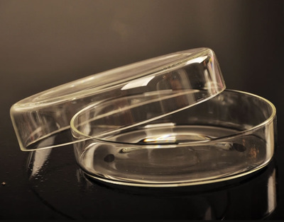 林一高硼硅玻璃60mm 细菌培养皿 组织培养皿 生化培养皿