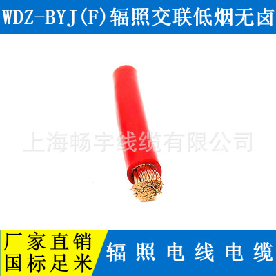 供应WDZ-BYJ(F)-10mm2低烟无卤阻燃辐照电线电缆/国标足米/铜芯