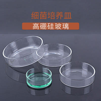 创意玻璃配件 实验用品细菌培养皿生化培养皿 手工吹制高硼硅玻璃