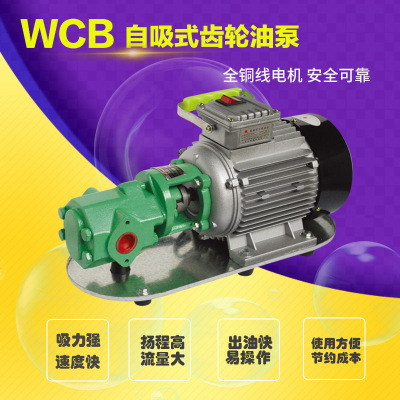 WCB微型便携手提式齿轮油泵 电动柴油泵 大流量齿轮泵 微型齿轮泵
