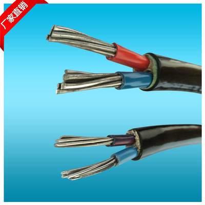 10平方铝线电缆线VLV2*25平方双芯铝电线2芯YJLV铝芯线电力电缆