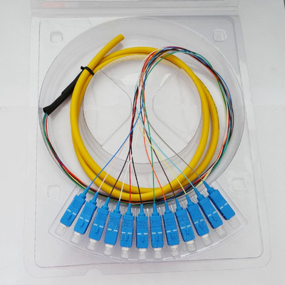 12芯SC束状尾纤 SC尾纤 SC光纤尾纤（1.5米 SM）电信级质量保证