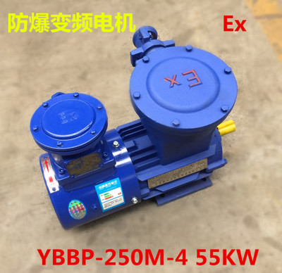 防爆变频调速三相异步电动机YBBP-250M-4 55KW立式卧式变频电机
