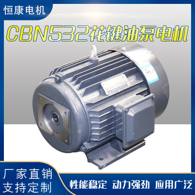 厂家直销CBN532花键油泵电机液压系统专用三相异步电动机