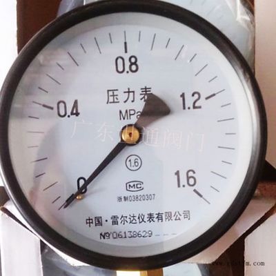 代理销售中国雷尔达仪表元件：膜片、耐震、电接点压力表和油压表