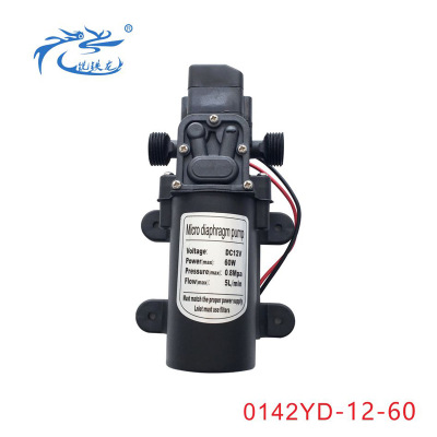 洗铁龙微型隔膜泵清水泵 电动高压水泵 12V60W直流自吸压力开关型