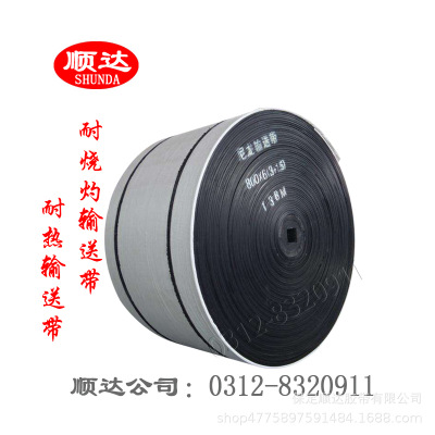 保定顺达厂家直销高耐磨输送带橡胶尼龙耐高温耐热皮带难燃输送带图1