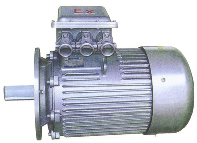 YB400-800系列高压隔爆型电动机，南洋防爆厂家供应，证件齐全