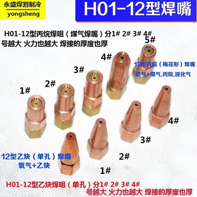 12型焊嘴 焊炬H01-12型丙烷焊嘴 梅花枪头 射吸式焊枪 煤气焊咀