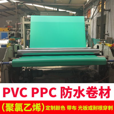 聚氯乙烯pvc防水卷材 光板带布可耐根穿刺国标企标 PPC卷材高分子