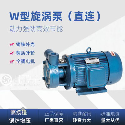 W旋涡泵高扬程增压泵锅炉给水泵1W2.5-12单级旋涡泵铜叶轮旋涡泵