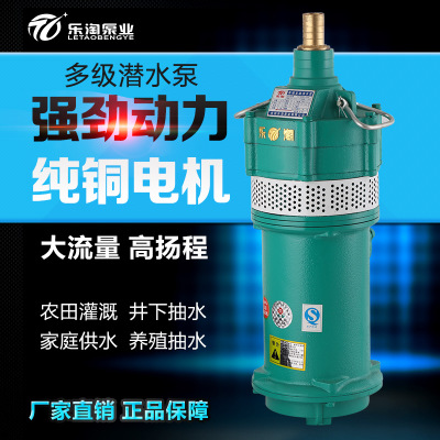乐淘QD家用小型高扬程立式多节潜水泵220v 小老鼠清水抽水泵380v