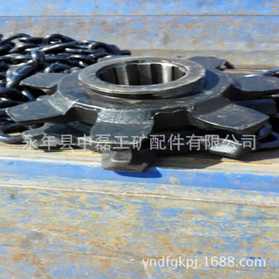 供应矿用链轮 40T刮板机传动链轮 优质链轮