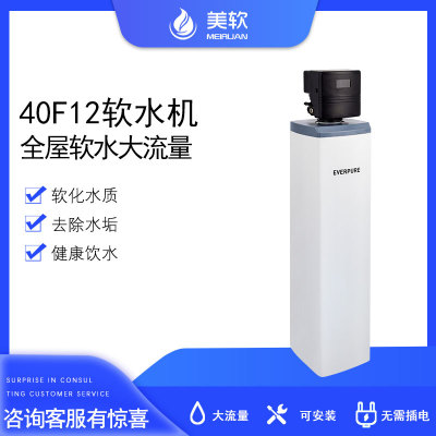 滨特尔净水器中央净水机大流量全屋过滤保护水路PCFE40F12中央机